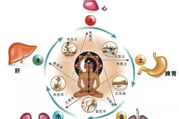 揭秘五行木命人的命理密码，如何找到缺失的五行能量？