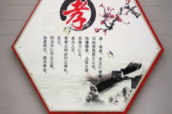 如何看待年老的自己：一场关于生命与智慧的旅程