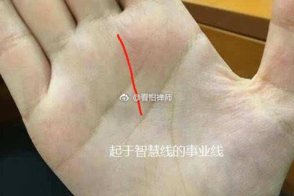 伤官格女性的独特命运与人生智慧 伤官格女性的独特命运与人生智慧