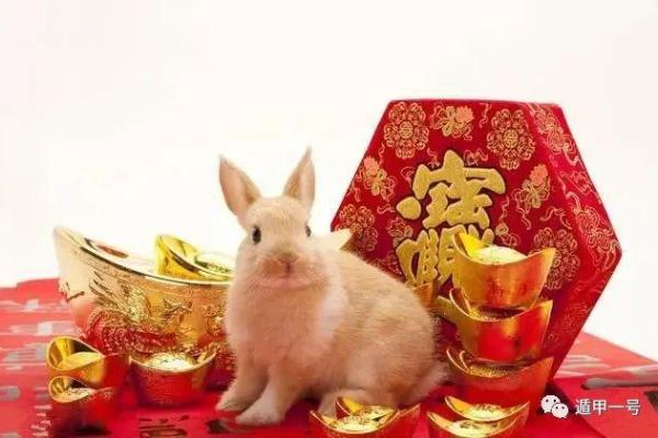 属兔正月十五出生,命运与运势解析 属兔正月十五出生,命运与运势解析