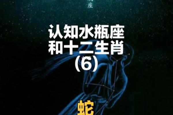 生肖蛇出生月份的命理解析:探索你的命运之路 生肖蛇出生月份的命理解析:探索你的命运之路