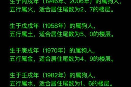 属狗女的水命与手机号码的完美搭配解析