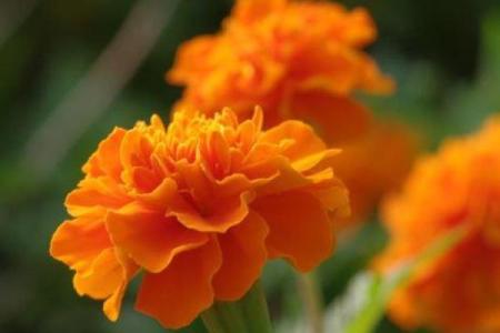 山头火命：如何用颜色提升生活的能量与运势