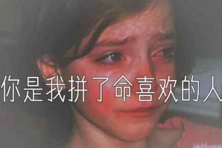 拼了命的爱上你：爱与勇气的感人旋律