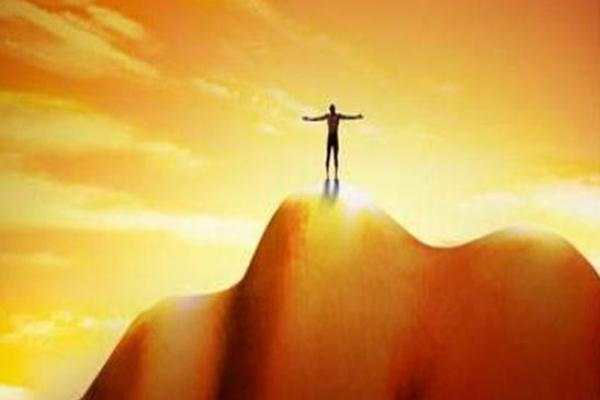 属龙一生的命运旅程：从辉煌到际遇的多彩人生