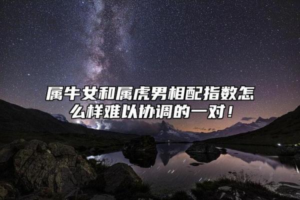 生肖与婚姻:怎样选择适合自己的另一半? 生肖与婚姻:怎样选择适合自己的另一半?