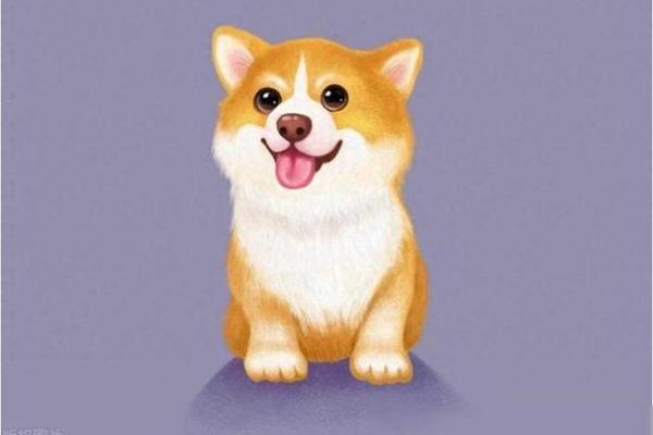 生肖狗27岁后如何迎接命运转折与转变 生肖狗27岁后如何迎接命运转折与转变