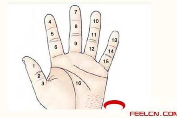 手上有疤的命女:她们的生活、性格与命运解析 手上有疤的命女:她们的生活、性格与命运解析