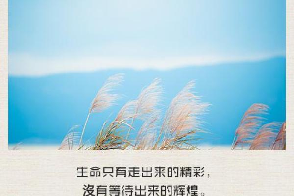 生于冬天的人命理解析:揭秘岁寒之韵与人生的幸运之路 生于冬天的人命理解析:揭秘岁寒之韵与人生的幸运之路