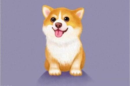 生肖狗27岁后如何迎接命运转折与转变