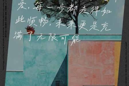 命运的选择：什么命好，什么命不好揭秘