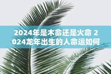 生辰八字中木命的象征与生活启示