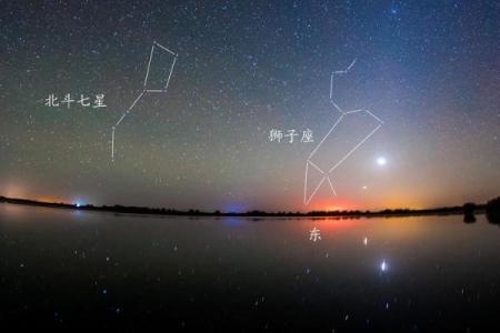 狮子座变狗：命运转变与心理探秘之旅