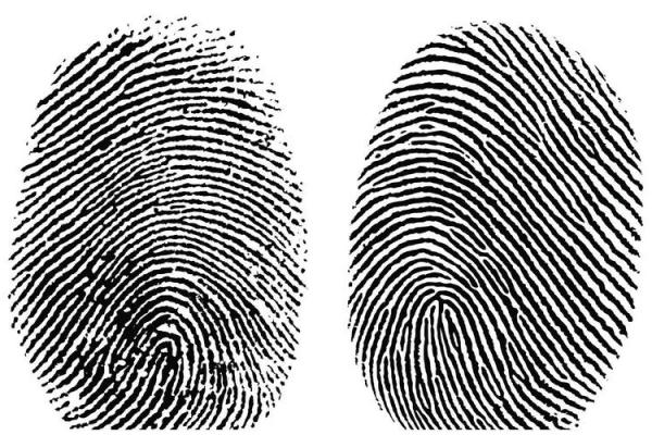 手指上的八个簸箕,探秘指尖的命运密码与人生航向 手指上的八个簸箕,探秘指尖的命运密码与人生航向