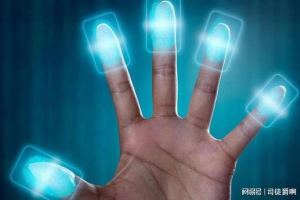 手指上的八个簸箕,探秘指尖的命运密码与人生航向 手指上的八个簸箕,探秘指尖的命运密码与人生航向