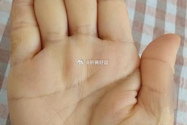 手中的纹路:揭示命运的神秘密码 手中的纹路:揭示命运的神秘密码