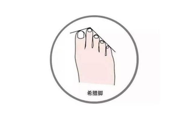 什么样的脚型会让你成为富贵命女?探寻脚型与命运的秘密! 什么样的脚型会让你成为富贵命女?探寻脚型与命运的秘密!