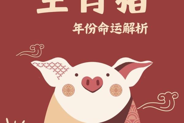 十六岁猪的五行命理揭秘:如何解读你的命运与性格 十六岁猪的五行命理揭秘:如何解读你的命运与性格