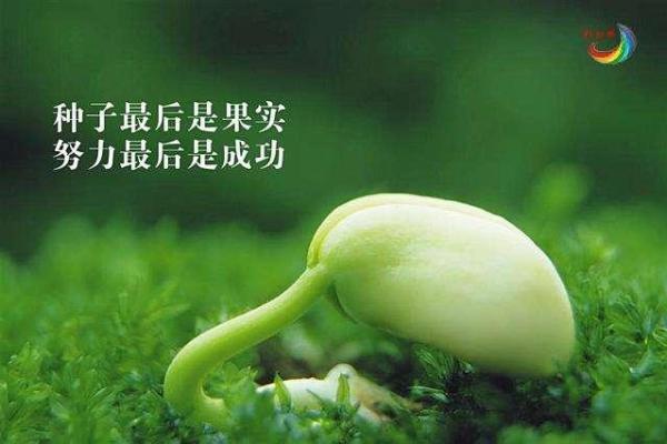 木命人适合的生意类型,开启成功之路的秘密 木命人适合的生意类型,开启成功之路的秘密