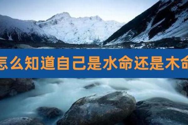 木命与水命的奇妙差异:探寻命理背后的奥秘与人生智慧 木命与水命的奇妙差异:探寻命理背后的奥秘与人生智慧