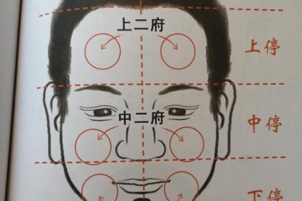 解析旺丁命格:女命与男命的特点与影响 解析旺丁命格:女命与男命的特点与影响