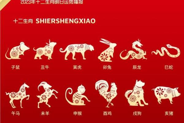 命字在周易中代表的生肖及其深刻含义