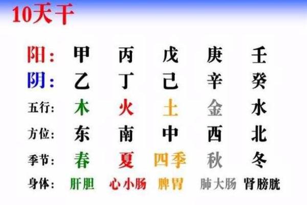 女命日主为阴木者的命理解析与人生境遇 女命日主为阴木者的命理解析与人生境遇