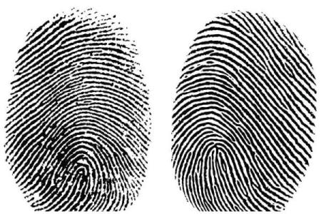 手指上的八个簸箕，探秘指尖的命运密码与人生航向