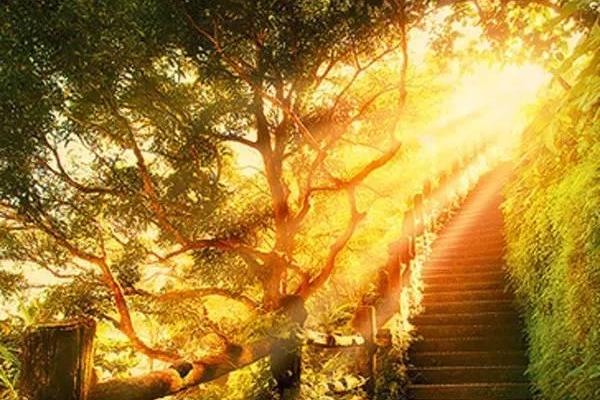 揭示四月初三生日的命运奥秘:她的性格与人生之路分析 揭示四月初三生日的命运奥秘:她的性格与人生之路分析