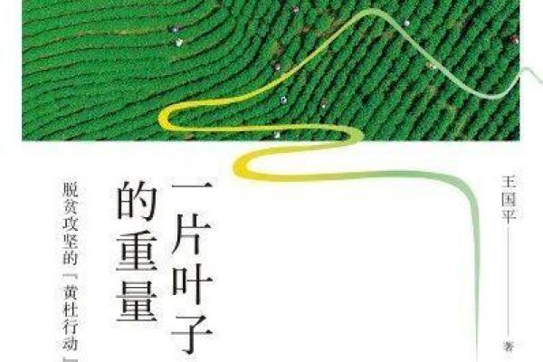 拼了命以后的日子：那些奋斗背后的故事与感悟