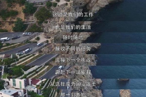 拼了命的想要逃：追寻内心自由的旅程