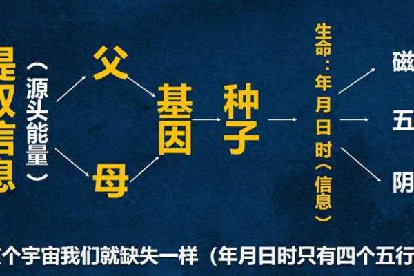 人生五行之缺一命:如何逆转命运,寻求平衡与幸福 人生五行之缺一命:如何逆转命运,寻求平衡与幸福