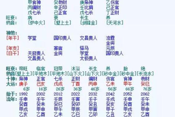 虎假半真之命:探索命理的神秘与启示 虎假半真之命:探索命理的神秘与启示