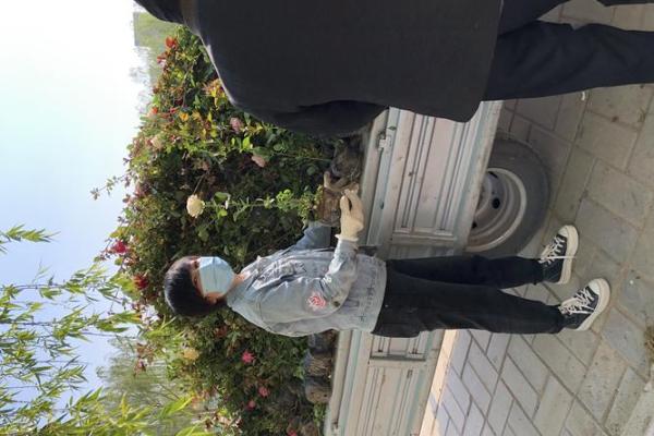 属马水命开车颜色选择：为你的行车生活添彩！