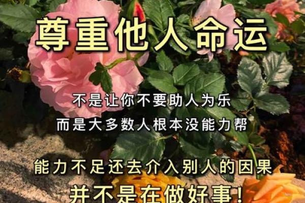 牛年申时出生女孩的命理解读与人生建议