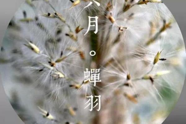 揭秘农历六月十四出生的人性格与命运 揭秘农历六月十四出生的人性格与命运