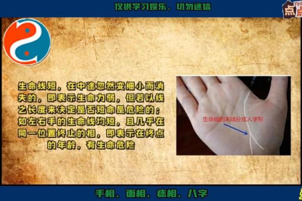 手相揭秘:那些命运多舛的女子与她们的手相特征 手相揭秘:那些命运多舛的女子与她们的手相特征