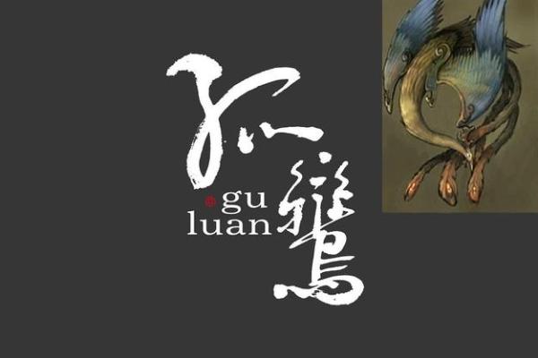 女命中的孤鸾与寡宿：神秘命理的深度解析