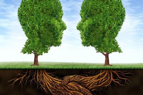 山头火命:与火焰共舞的命运与人生轨迹 山头火命:与火焰共舞的命运与人生轨迹