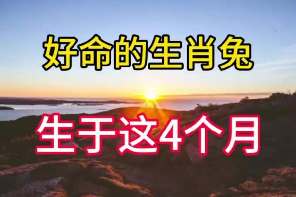 属兔24岁的人生运势与最佳命理分析 属兔24岁的人生运势与最佳命理分析