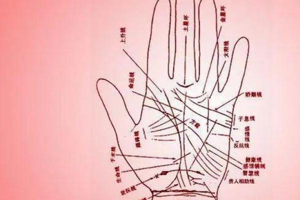 什么样的手纹能带来旺夫运?解读手纹与命运的秘密 什么样的手纹能带来旺夫运?解读手纹与命运的秘密