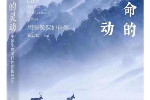 平地木命:如何为生命增添灵动与活力的名字 平地木命:如何为生命增添灵动与活力的名字