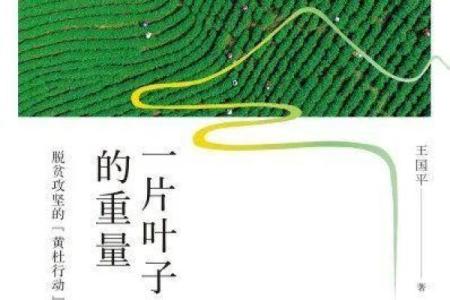 拼了命以后的日子：那些奋斗背后的故事与感悟