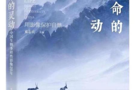 平地木命：如何为生命增添灵动与活力的名字