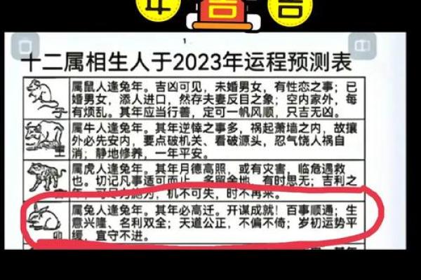 揭开十二生肖的命局之谜:如何根据属相分析人生运势? 揭开十二生肖的命局之谜:如何根据属相分析人生运势?