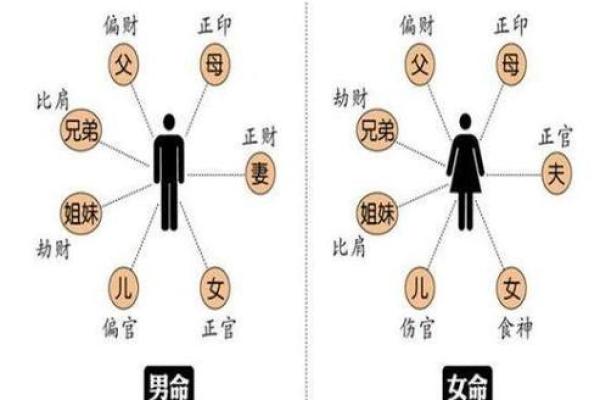 什么八字的男命能娶到漂亮妻子？解密命理中的美丽缘分！