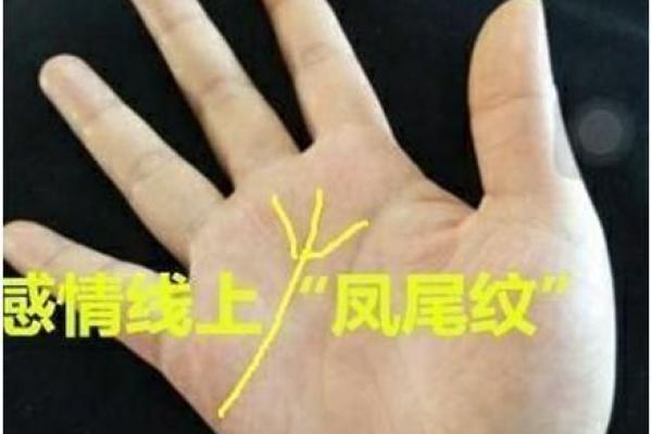 适合结婚生子的命格解析:幸福家庭的最佳选择 适合结婚生子的命格解析:幸福家庭的最佳选择