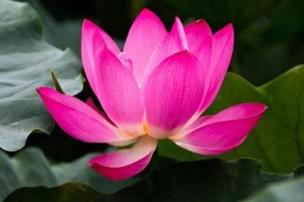 槡石木命:如何恰当地搭配命理,开启人生新篇章 槡石木命:如何恰当地搭配命理,开启人生新篇章