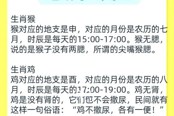 生肖与婚姻:揭示哪些生肖更适合选择媳妇的秘密 生肖与婚姻:揭示哪些生肖更适合选择媳妇的秘密