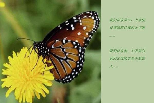 揭秘五鬼命格:命运背后的神秘力量与人生启示 揭秘五鬼命格:命运背后的神秘力量与人生启示